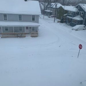 Meet your Posher, Luis